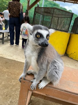 しろとり動物園に投稿された画像（2022/10/8）