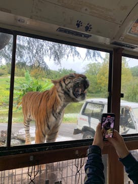 秋吉台自然動物公園 サファリランドに投稿された画像（2022/10/8）