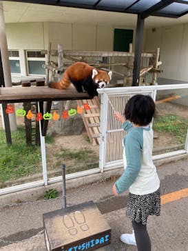 秋吉台自然動物公園 サファリランドに投稿された画像（2022/10/8）
