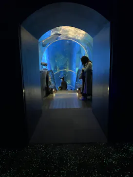 横浜・八景島シーパラダイスに投稿された画像（2022/10/8）