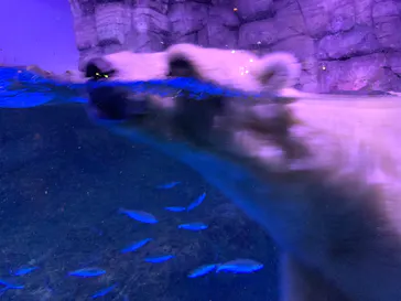 横浜・八景島シーパラダイスに投稿された画像（2022/10/8）