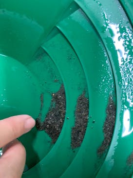 土肥金山に投稿された画像（2022/10/8）