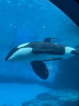 名古屋港水族館に投稿された画像（2022/10/8）