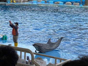 名古屋港水族館に投稿された画像（2022/10/8）