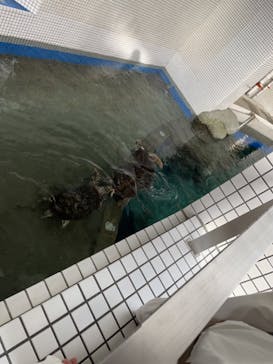 名古屋港水族館に投稿された画像（2022/10/8）