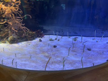 名古屋港水族館に投稿された画像（2022/10/8）