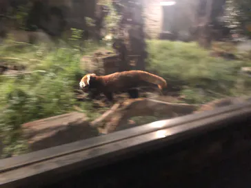 天王寺動物園に投稿された画像（2022/10/8）