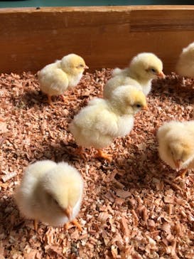 東武動物公園に投稿された画像（2022/10/8）