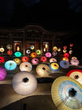 大山ツアーデスクに投稿された画像（2022/10/8）