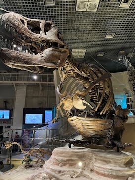 国立科学博物館に投稿された画像（2022/10/8）