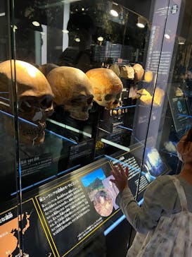 国立科学博物館に投稿された画像（2022/10/8）