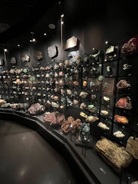 国立科学博物館に投稿された画像（2022/10/8）