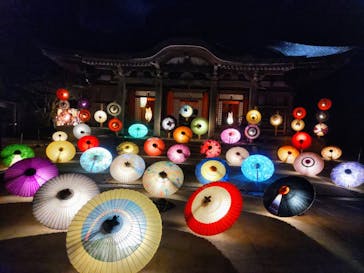 大山ツアーデスクに投稿された画像（2022/10/8）