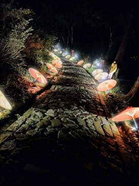 大山ツアーデスクに投稿された画像（2022/10/8）