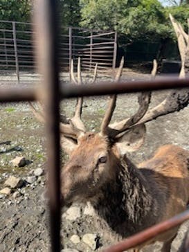 那須サファリパークに投稿された画像（2022/10/8）