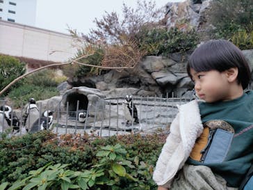 サンシャイン水族館に投稿された画像（2022/10/8）