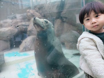 サンシャイン水族館に投稿された画像（2022/10/8）