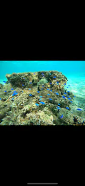 武藤潜水に投稿された画像（2022/10/9）