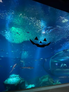 アクアワールド茨城県大洗水族館に投稿された画像（2022/10/9）
