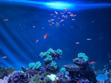 サンシャイン水族館に投稿された画像（2022/10/9）