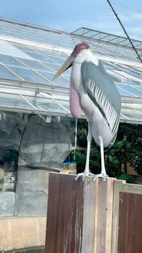 神戸どうぶつ王国に投稿された画像（2022/10/9）