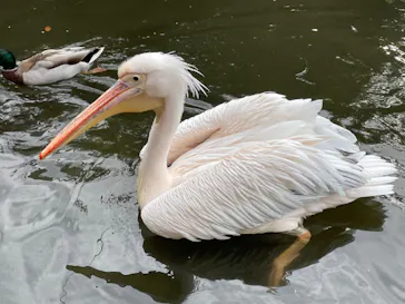 神戸どうぶつ王国に投稿された画像（2022/10/9）