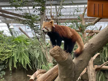 神戸どうぶつ王国に投稿された画像（2022/10/9）