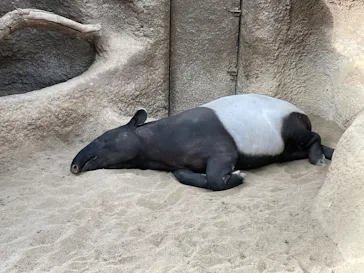 神戸どうぶつ王国に投稿された画像（2022/10/9）