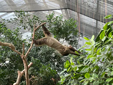 神戸どうぶつ王国に投稿された画像（2022/10/9）