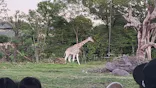 天王寺動物園に投稿された画像（2022/10/9）