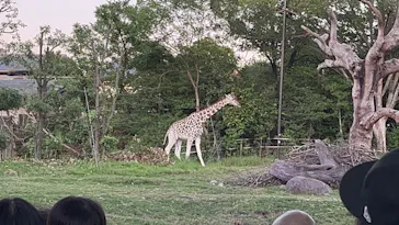 天王寺動物園に投稿された画像（2022/10/9）