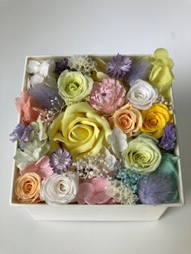 ずこうしつ〜sugamo〜に投稿された画像（2022/10/9）