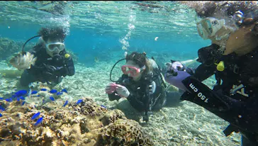 武藤潜水に投稿された画像（2022/10/9）