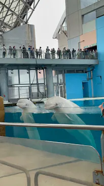 横浜・八景島シーパラダイスに投稿された画像（2022/10/9）