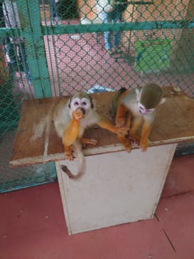 那須ワールドモンキーパークに投稿された画像（2022/10/9）