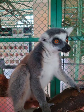 那須ワールドモンキーパークに投稿された画像（2022/10/9）