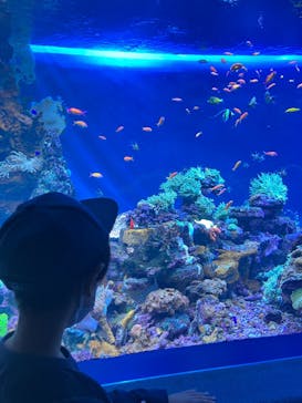 サンシャイン水族館に投稿された画像（2022/10/9）