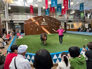 ノーザンホースパークに投稿された画像（2022/10/9）