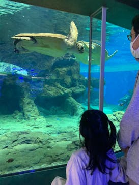 名古屋港水族館に投稿された画像（2022/10/9）