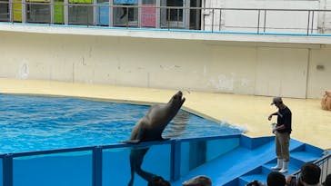 伊豆・三津シーパラダイスに投稿された画像（2022/10/9）