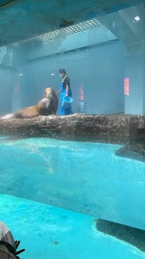 伊豆・三津シーパラダイスに投稿された画像（2022/10/9）