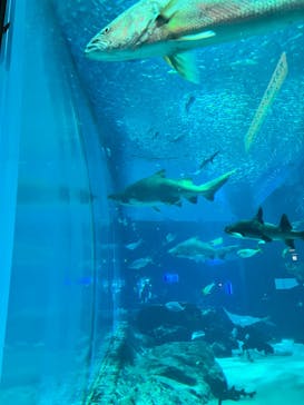 マリンワールド海の中道に投稿された画像（2022/10/9）