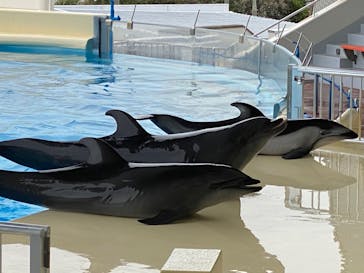 マリンワールド海の中道に投稿された画像（2022/10/9）