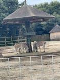 東武動物公園に投稿された画像（2022/10/9）