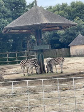 東武動物公園に投稿された画像（2022/10/9）