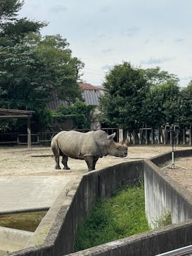 東武動物公園に投稿された画像（2022/10/9）