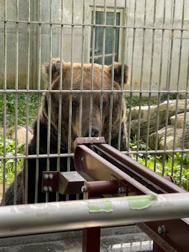 東武動物公園に投稿された画像（2022/10/9）