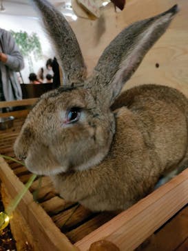 伊豆シャボテン動物公園に投稿された画像（2022/10/9）