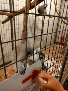 伊豆シャボテン動物公園に投稿された画像（2022/10/9）