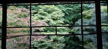 京阪電車に投稿された画像（2022/10/9）